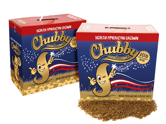 20Lbs Chubby North American Dried Mealworms (Montreal Grown) Recyclable Boxes Non-GMO