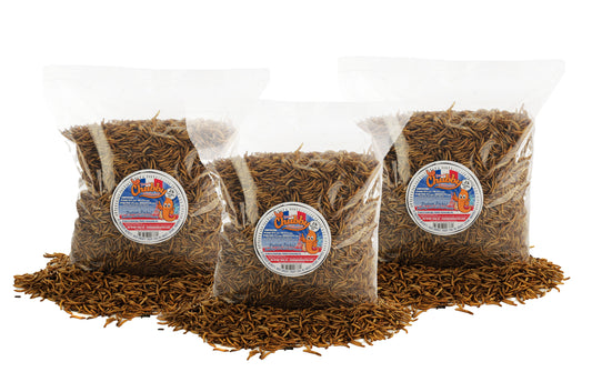 6lb French Grown Chubby Dried Mealworms - Best Before September 2026