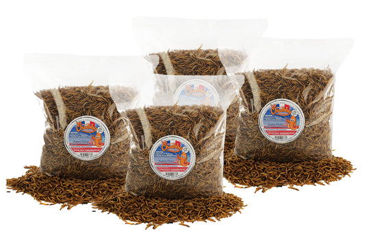 8lb French Grown Chubby Dried Mealworms - Best Before September 2026