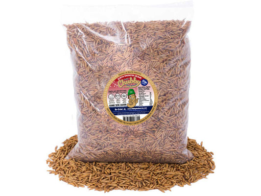 11LB Chubby Dried Black Soldier Fly Larvae - Grown in North America (Montreal) Non-GMO