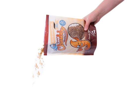 1.82Kg (4Lbs) Dried Chubby Mealworms - - 2