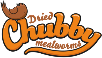 Chubby Mealworms USA
