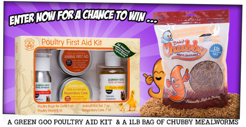 Win a Green Goo Poultry First Aid kit and a 1lb bag of Chubby Mealworms