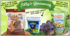 Win a 4lb Tub of Verm X for Poultry and a 2lb Chubby Mealworm Frass pack