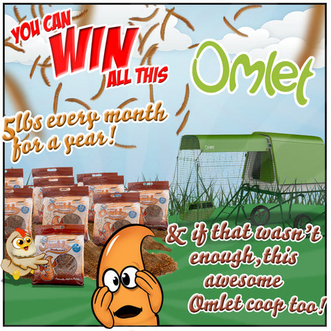 Win a Year Supply and an Omlet Eglu Go UP