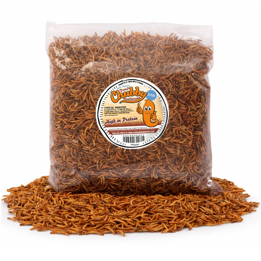 2.5lb Chubby Dried Mealworms