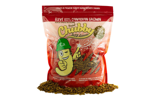 2LB Chubby Dried Black Soldier Fly Larvae - Grown in North America (Montreal) Non-GMO