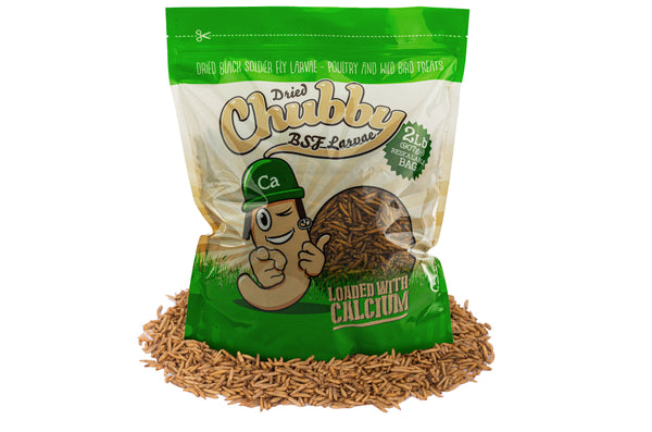 2LB Chubby Dried Black Soldier Fly Larvae – Chubby Mealworms US 2LB Chubby Dried Black Soldier Fly Larvae – Chubby Mealworms US