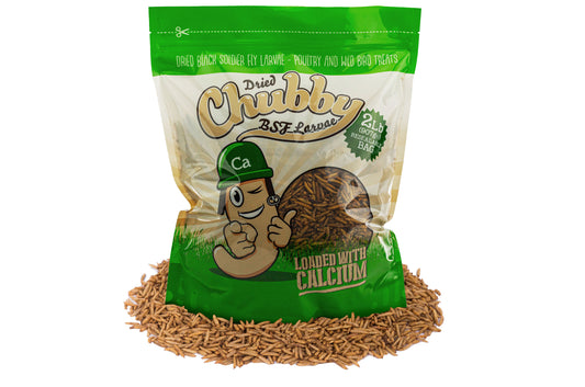 2LB Chubby Dried Black Soldier Fly Larvae