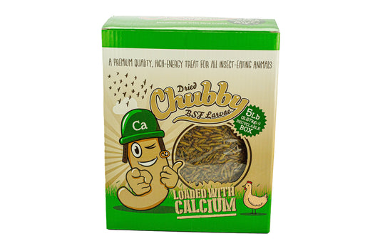 Premium dried BSFL insect food rich in calcium and protein