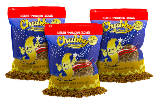 7.5Lbs Chubby North American Dried Mealworms (Montreal Grown) Non-GMO