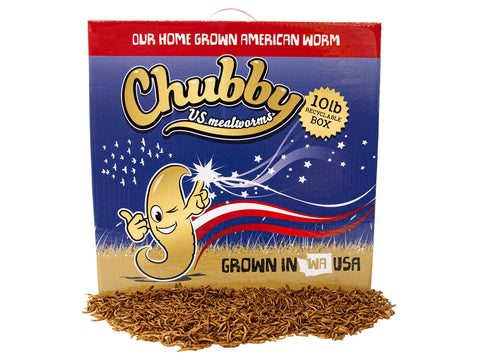 10Lbs Chubby US Grown Dried Mealworms (Non-GMO)