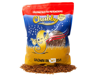 2.5Lbs Chubby US Grown Dried Mealworms (Non-GMO) - Temporary Packaging