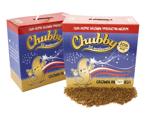 20Lbs Chubby US Grown Dried Mealworms (Non-GMO)