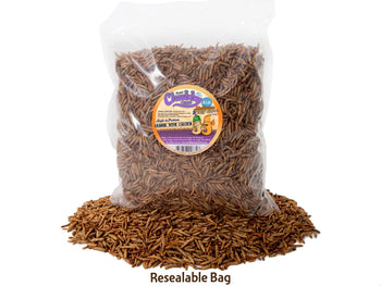 2lb Chubby Mix (Mealworm & Black Soldier Fly Larvae Combo)