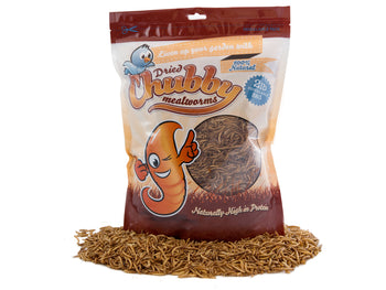 2Lbs Chubby Dried Mealworms