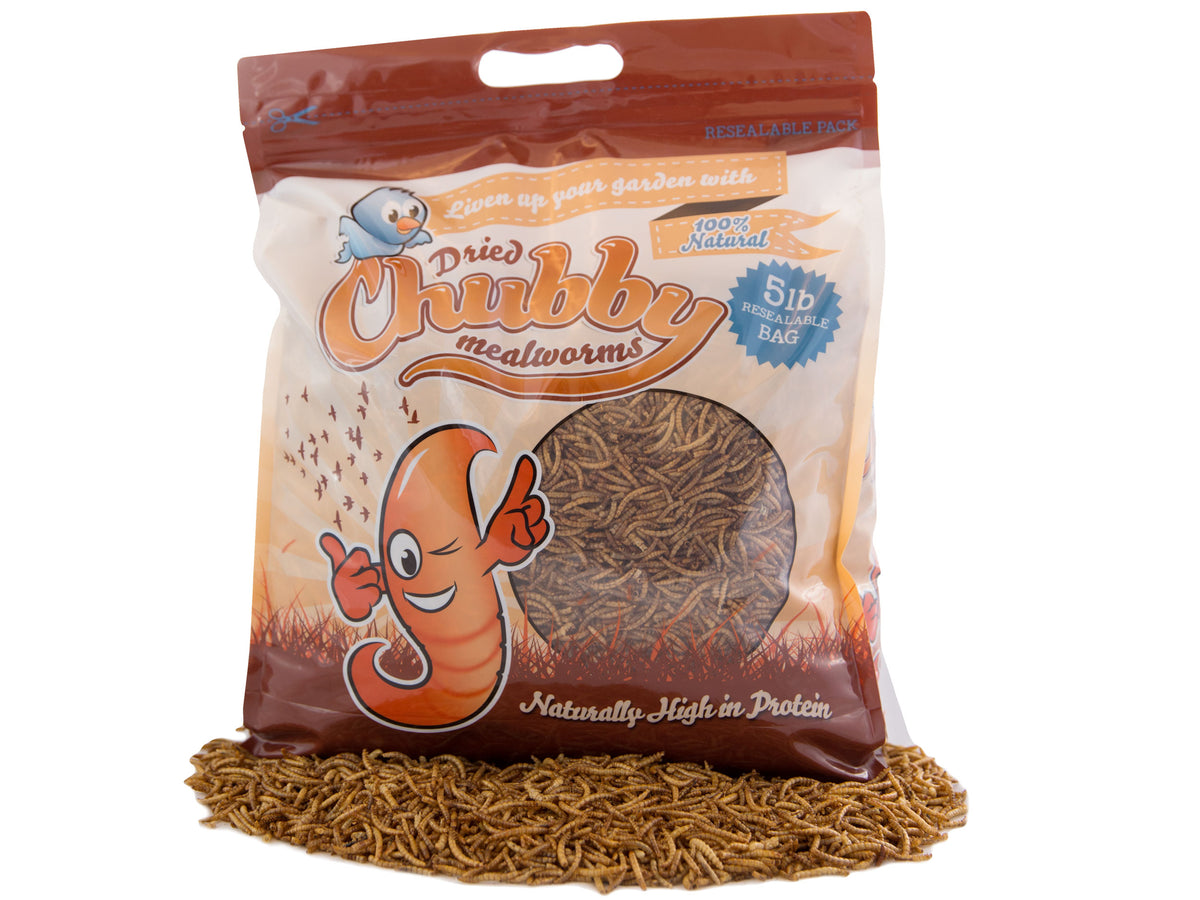 Chubby Mealworms Dried Mealworms 5 lb