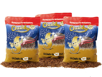 7.5Lbs Chubby US Grown Dried Mealworms (Non-GMO)