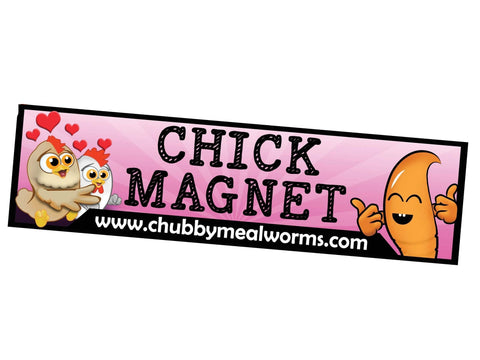Bumper Sticker - Chick Magnet - Chubby Mealworms