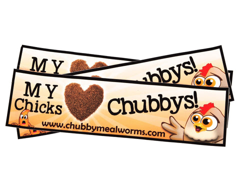 Bumper Sticker - Love Chubbys - Chubby Mealworms