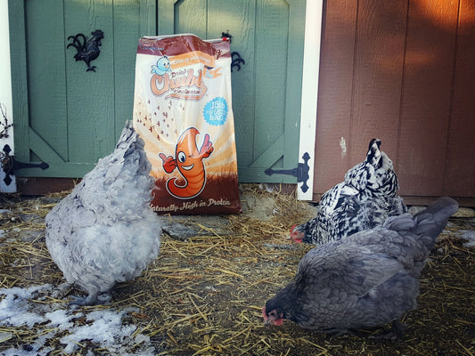 60Lbs Chubby Dried Mealworms - Chubby Mealworms