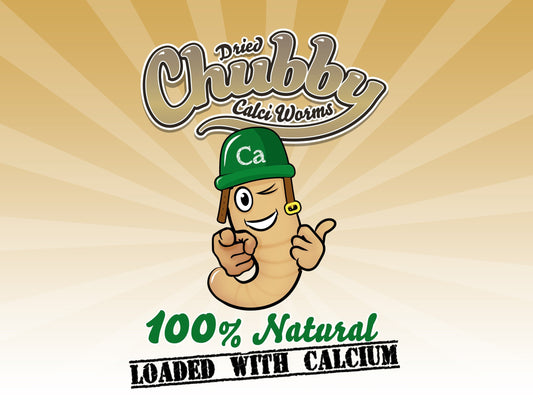 Soft Chubby Mealworms - Captain Calci - Chubby Mealworms