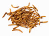 30Lbs of US Grown Dried Mealworms (Non-GMO) Recyclable Boxes